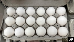 Egg Prices